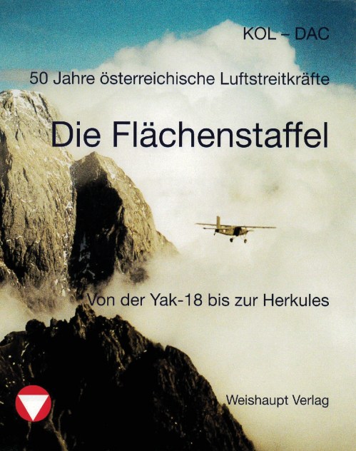 die flächenstaffel9